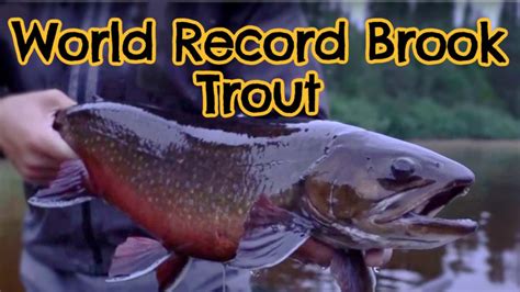 What Is The Biggest Brook Trout Ever Caught With Maps And Tips