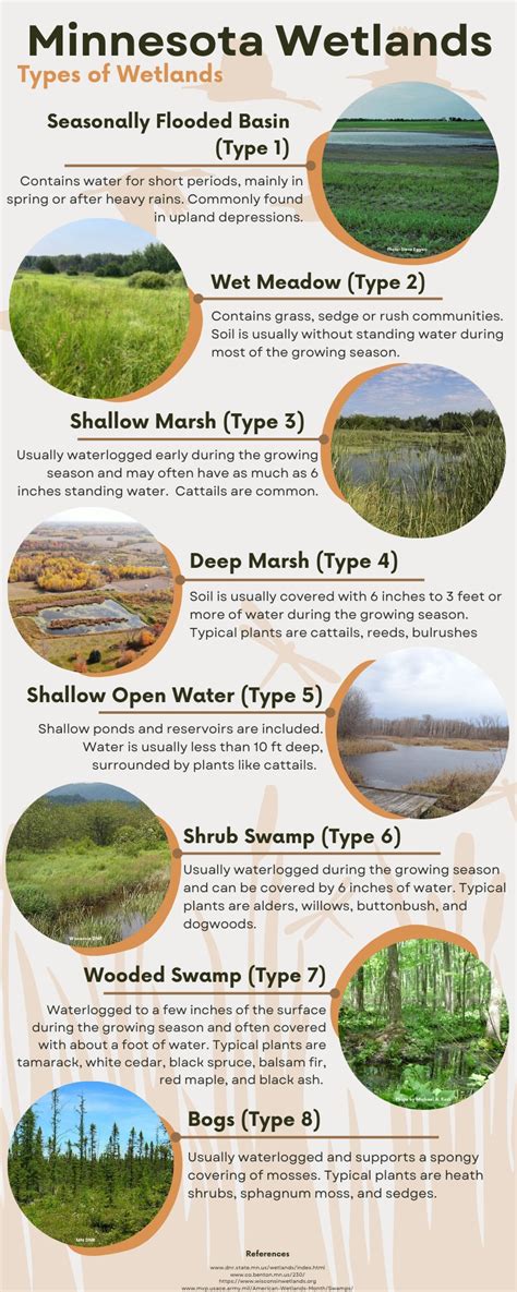 wetland    question knickpoints