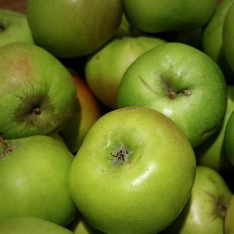 Bramley Apples Go Naked Veg