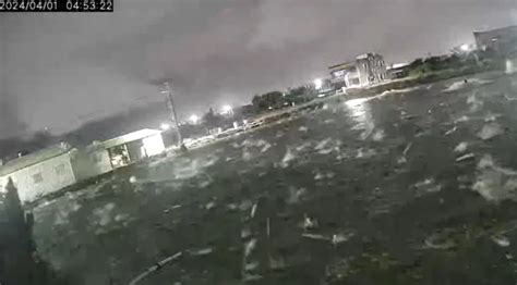 72強震撼全台強震早有預兆？台南虱目魚群突「暴動亂跳」 震撼畫面曝