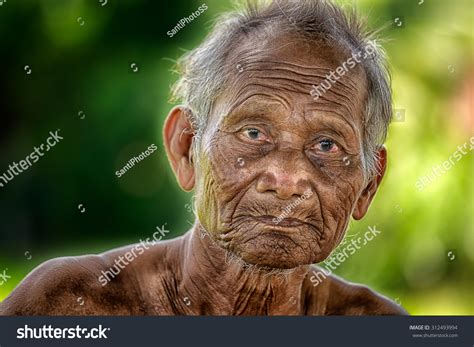 Smile Old Man Stock Photo 312493994 Shutterstock