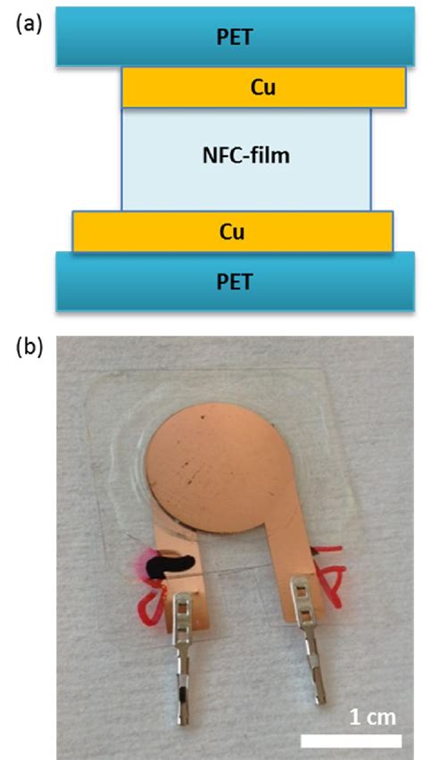 (a) A schematic side-view of the piezoelectric sensor structure and (b ...