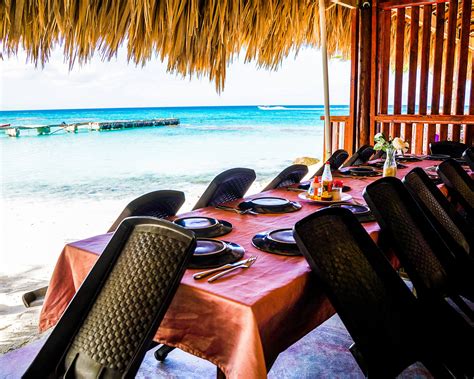 Private Saona Island Excursion | Private Tour | Punta Cana Hero