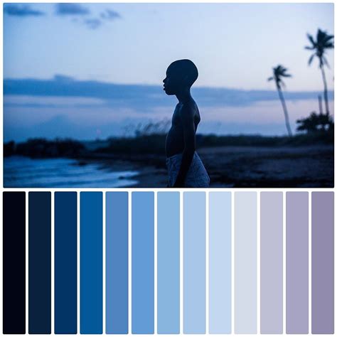 Color Film Collection On Instagram “moonlight” Color Film Movie Color Palette Monochromatic