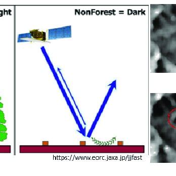 The principle of the backscatter changes on SAR images. Compare SAR and ...