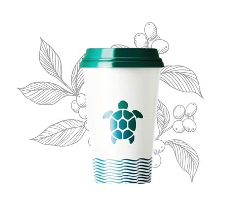 Master Coffee - Франшиза Specialty кофейни Казахстан