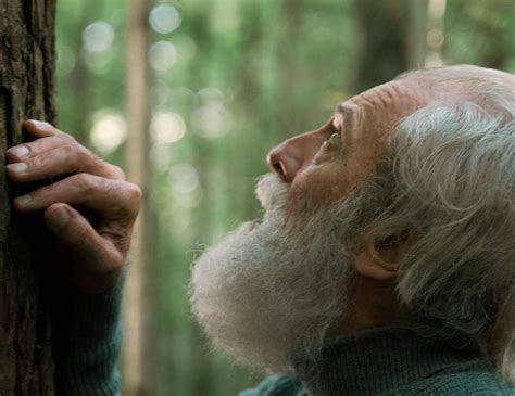 delay aging abundant health
