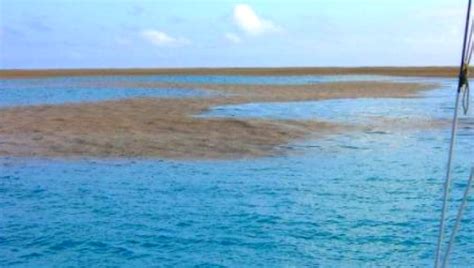 When This Boat Crew Realized What They Were Seeing, It Was Almost Too ...