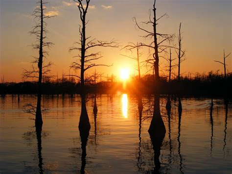 Black Bayou Monroe Louisiana United States Of America Photo