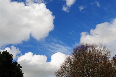 cumulus