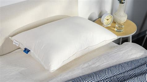 Best Pillows In 2024 Verla Caralie
