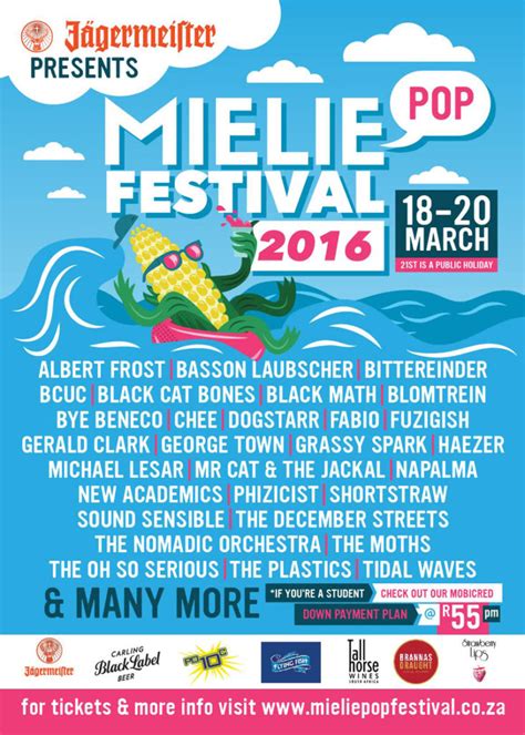 Music Festivals in South Africa | westcuratedtravel.com