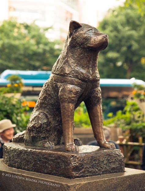 famous dog statue shibuya japan  joe tepper blog