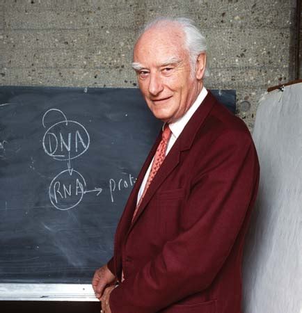 Francis Crick biography, birth date, birth place and pictures