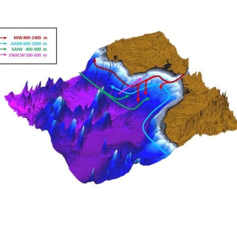 Illustration of intermediate water mass circulation in the Gulf of ...