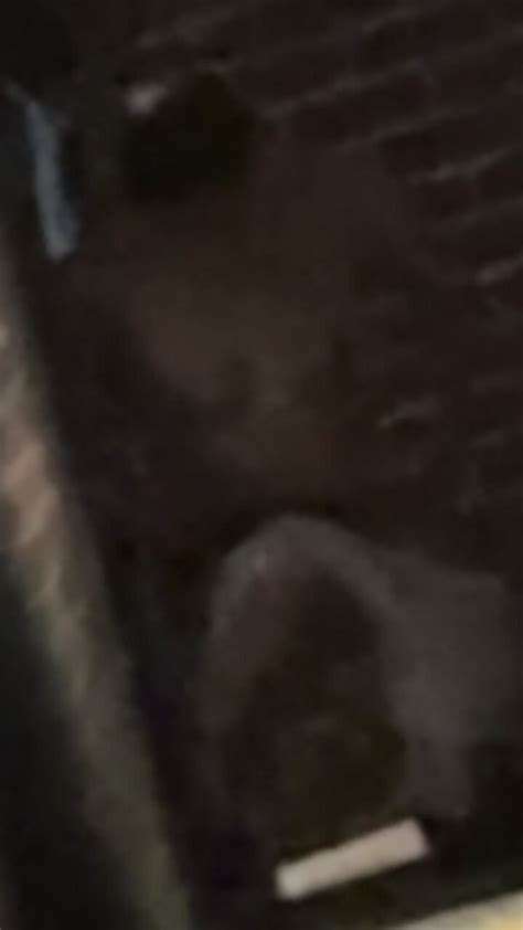 Girl Pissing With Tits Out ThisVid