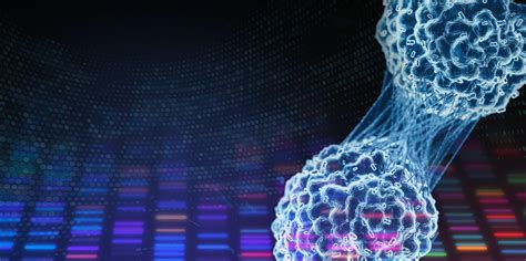 Premier Research Fortifies Cell And Gene Therapy Leadership Team