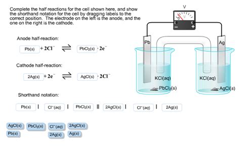 Solved: Complete The Half Reactions For The Cell Shown Her... | Chegg.com