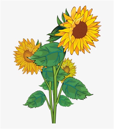 sunflower clipart rustic plants sunflower clip art png image