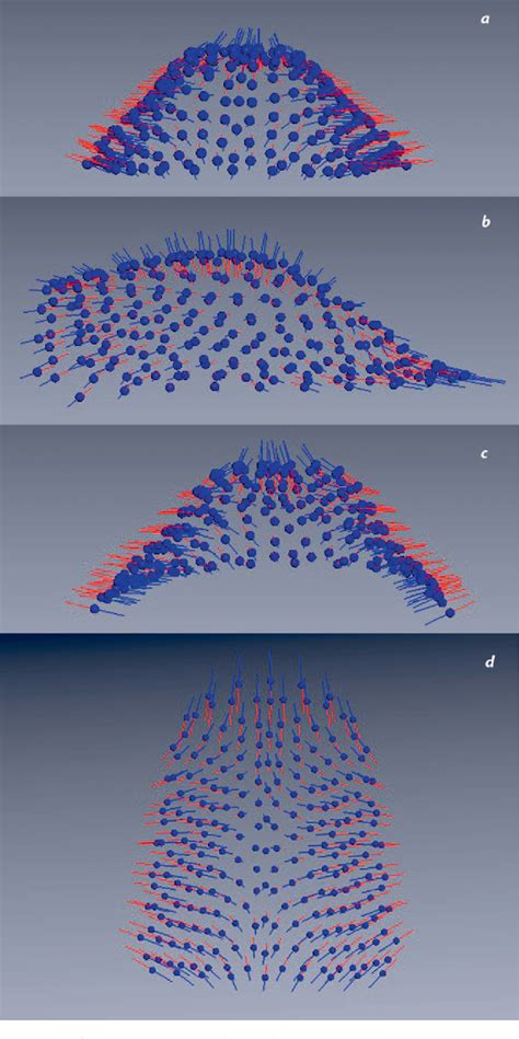 Figure From Geometric Morphometric Analysis Of The Palatal Morphology