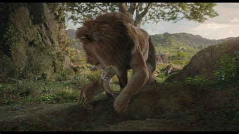 Image Gallery Of Naked Gun The Final Insult Fancaps