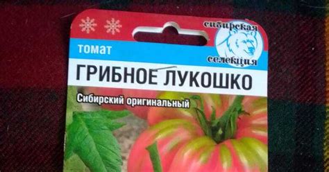 Обзор детерминантных томатов -2 | Пикабу