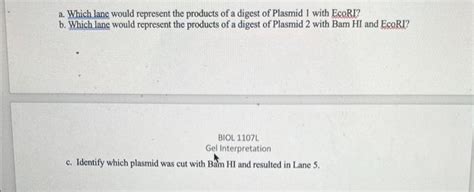 Solved 1) You have to identify two unknown plasmids using | Chegg.com