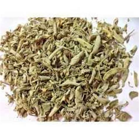 Sage Herb Leaf At Best Price In Navi Mumbai By Mutual Traders