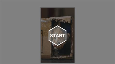 Buy Cheap Pussy Palace CD Key Best Price GG Deals