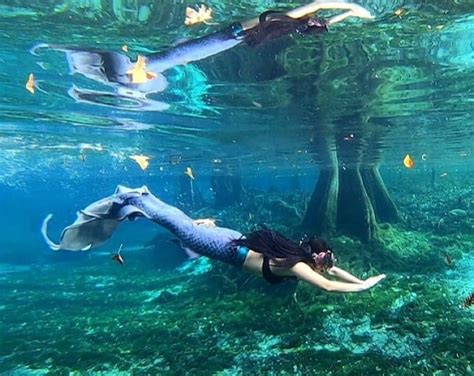 Showgirl Bra Wire Bra Samba Bikini Kost M Unikat Etsy De