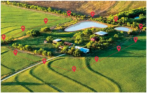 gps wireless dog fence invisible fence brand