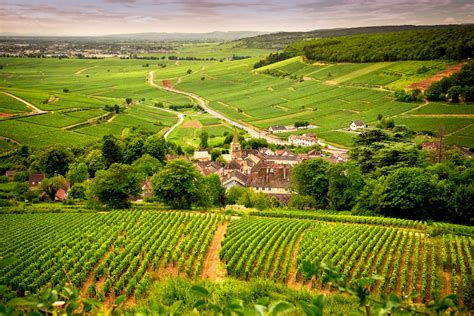 essence  burgundy lakama luxury travel