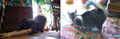 Hobart 20 Reasons Why I Want To Fuck My Cat By Mira Gonzalez