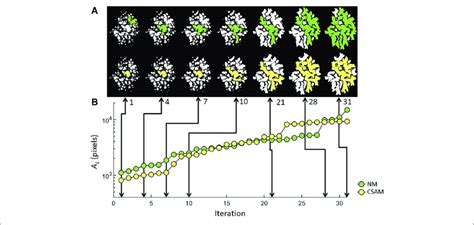laa configurations    evolution   largest laa cluster