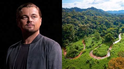 Leonardo Dicaprio Felicita Al Gobierno De Xiomara Castro Por La Defensa Del Medio Ambiente