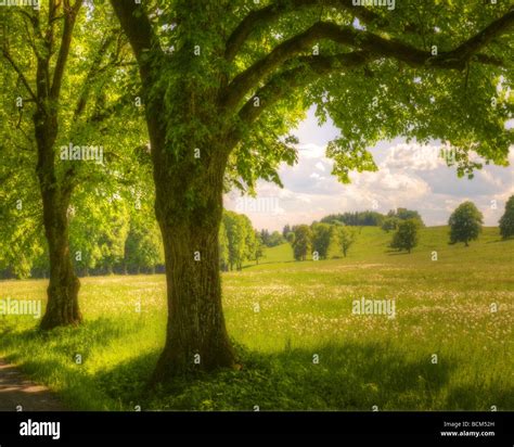 Deutsche landschaft -Fotos und -Bildmaterial in hoher Auflösung – Alamy