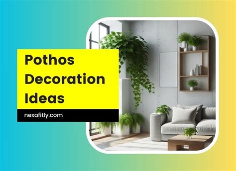 🌿 21 Creative Pothos Decoration Ideas For Every Room In Your Home 🏡