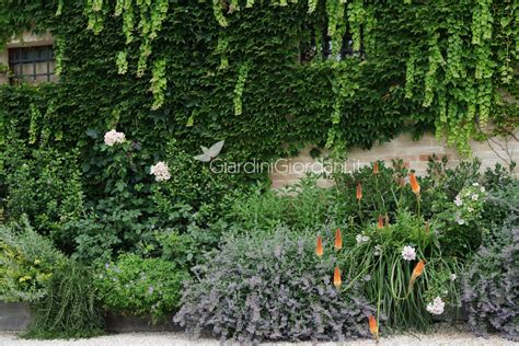 Il Mio Giardino 9