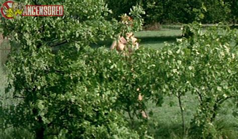 Kai Fischer Nude Pics Pagina