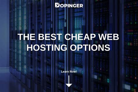 cheap web hosting options top list dopinger