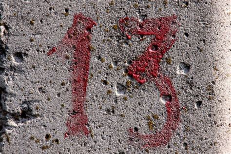 13 Картинки Фото – Telegraph