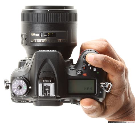 Nikon D7100 Camera Review