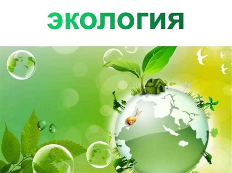 Экология - презентация онлайн