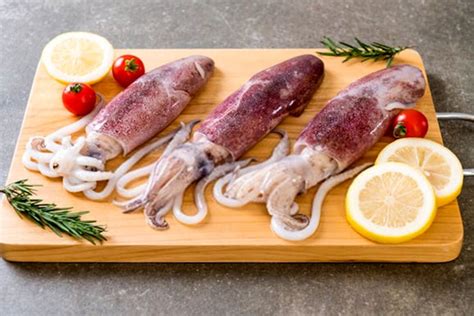 Can Dogs Eat Squid? The Most Important Concerns - Everything For Pets!