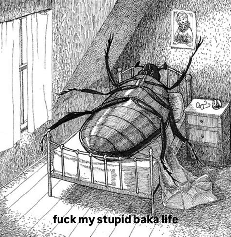 Fuck My Stupid Baka Life Image Gallery Know Your Meme