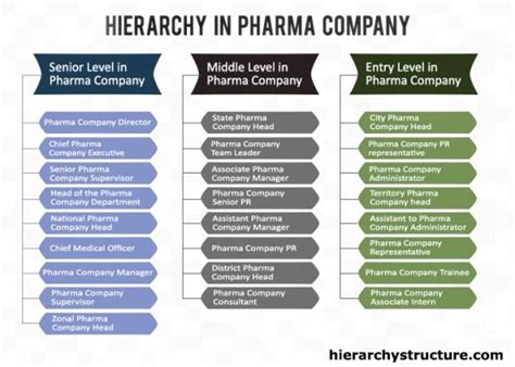 17 Best Images About Company Hierarchy On Pinterest Real Estate