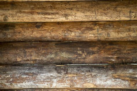 Текстура бревна бесшовная - 53 фото