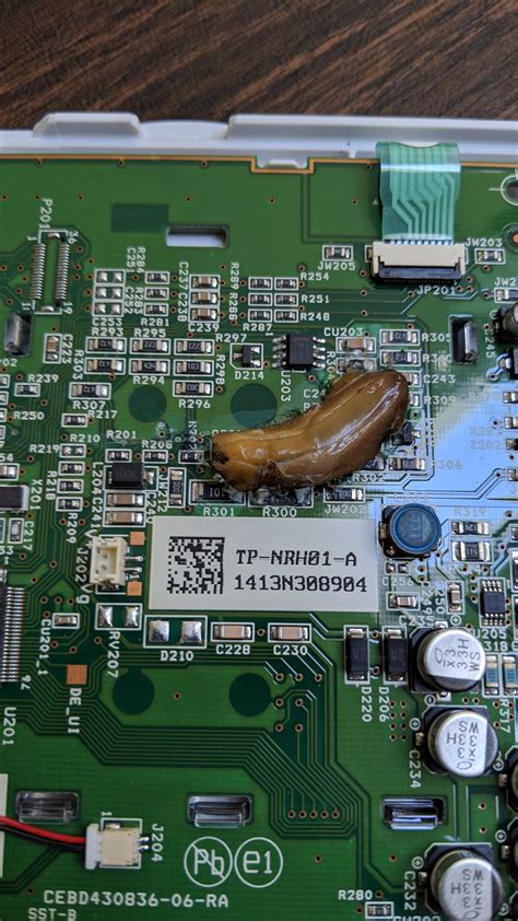 First Time Ive Seen A Slug Short A Thermostat Rhvac