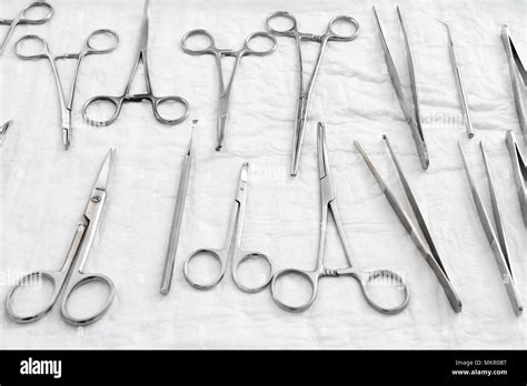Veterinarian Tools List