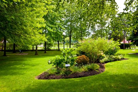 Le secret des jardins luxuriants : Boostez vos plantes avec cette ...